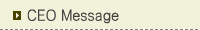 CEO Message